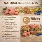 Vitality Canine Lamb & Rice Formula Dog Food 31.1 lbs